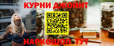 гашик Новозыбков