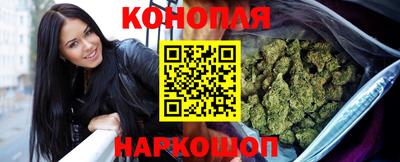 прущие грибы Новокубанск