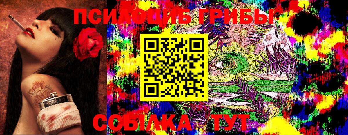 Псилоцибиновые грибы GOLDEN TEACHER Нальчик